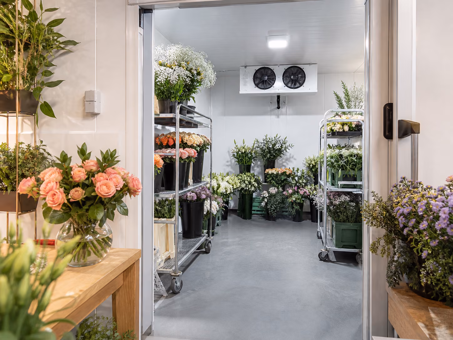 Photo terrain · Métier · fleuristes